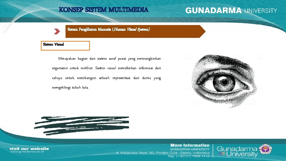 KONSEP SISTEM MULTIMEDIA Sistem Penglihatan Manusia (Human Visual System) Sistem Visual Merupakan bagian dari