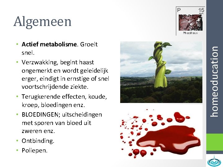  • Actief metabolisme. Groeit snel. • Verzwakking, begint haast ongemerkt en wordt geleidelijk