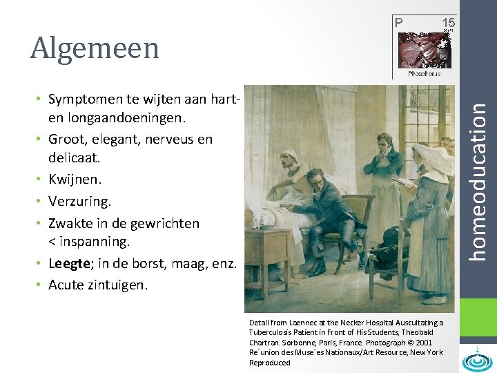 Algemeen homeoducation • Symptomen te wijten aan harten longaandoeningen. • Groot, elegant, nerveus en