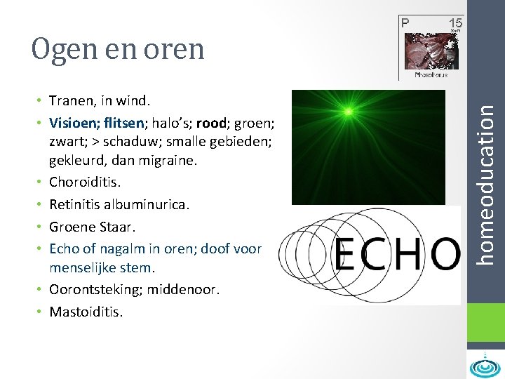  • Tranen, in wind. • Visioen; flitsen; halo’s; rood; groen; zwart; > schaduw;