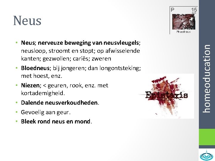  • Neus; nerveuze beweging van neusvleugels; neusloop, stroomt en stopt; op afwisselende kanten;