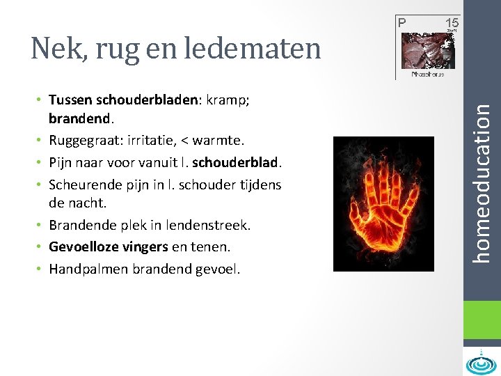  • Tussen schouderbladen: kramp; brandend. • Ruggegraat: irritatie, < warmte. • Pijn naar