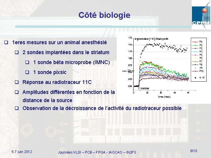 Côté biologie q 1 eres mesures sur un animal anesthésié q 2 sondes implantées