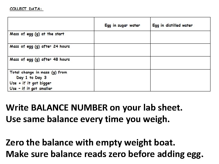 Write BALANCE NUMBER on your lab sheet. Use same balance every time you weigh.