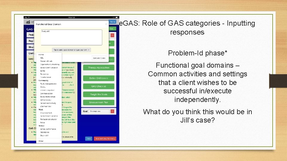 e. GAS: Role of GAS categories - Inputting responses Problem-Id phase* Functional goal domains