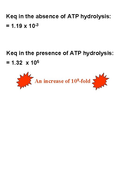 Keq in the absence of ATP hydrolysis: = 1. 19 x 10 -3 Keq