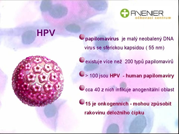 HPV papilomavirus je malý neobalený DNA virus se sférickou kapsidou ( 55 nm) existuje