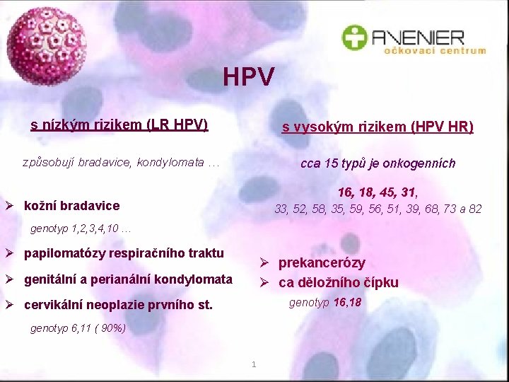 HPV s nízkým rizikem (LR HPV) s vysokým rizikem (HPV HR) způsobují bradavice, kondylomata