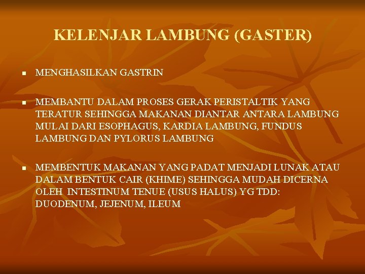 KELENJAR LAMBUNG (GASTER) n n n MENGHASILKAN GASTRIN MEMBANTU DALAM PROSES GERAK PERISTALTIK YANG