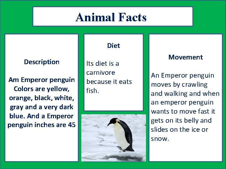 Animal Facts Diet Description Am Emperor penguin Colors are yellow, orange, black, white, gray