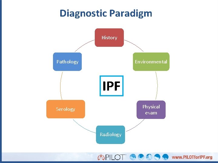 Diagnostic Paradigm History Pathology Environmental IPF Physical exam Serology Radiology 