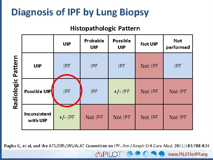 Diagnosis of IPF by Lung Biopsy Radiologic Pattern Histopathologic Pattern UIP Probable UIP Possible