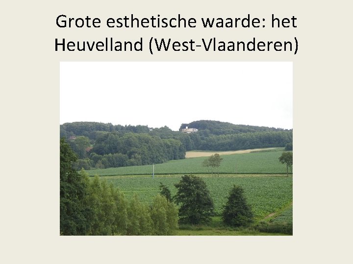 Grote esthetische waarde: het Heuvelland (West-Vlaanderen) 