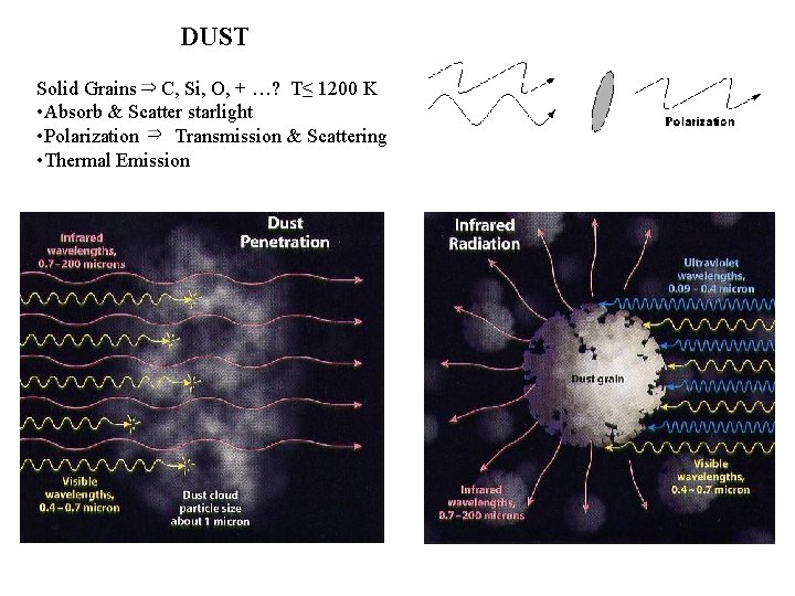 DUST Solid Grains C, Si, O, + …? T≤ 1200 K • Absorb &