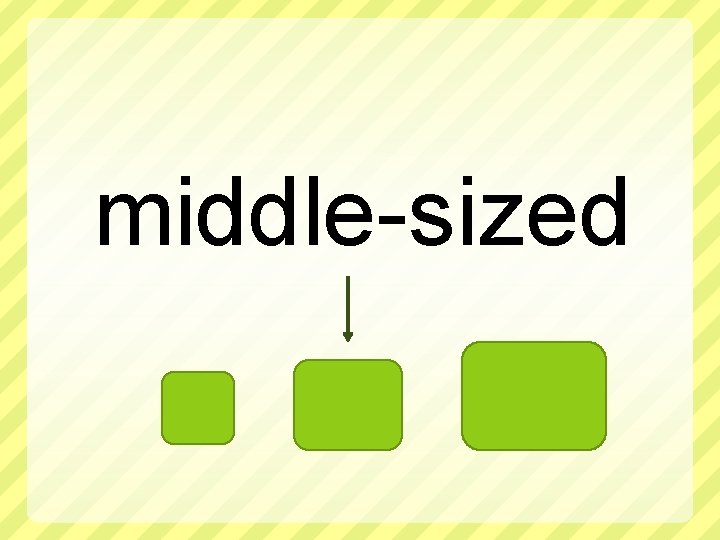 middle-sized 