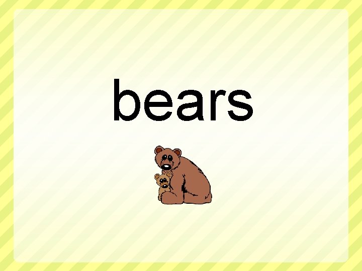bears 