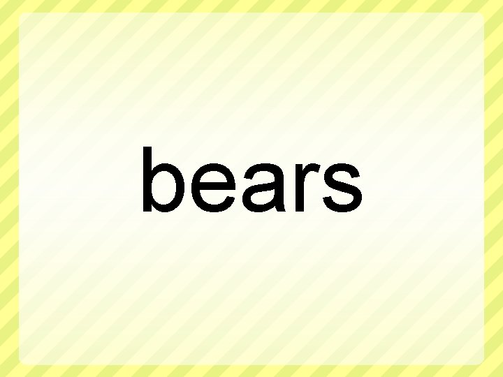 bears 