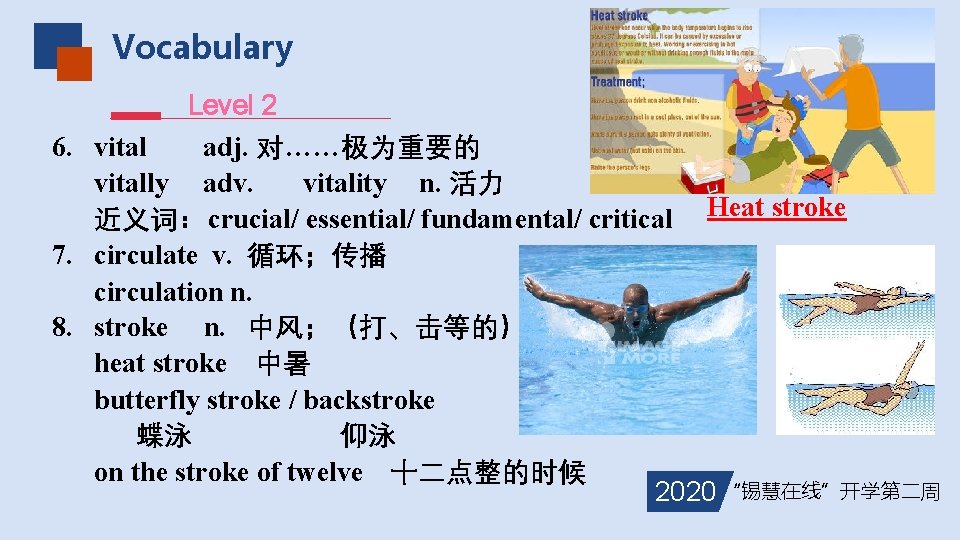 Vocabulary Level 2 6. vital adj. 对……极为重要的 vitally adv. vitality n. 活力 近义词：crucial/ essential/