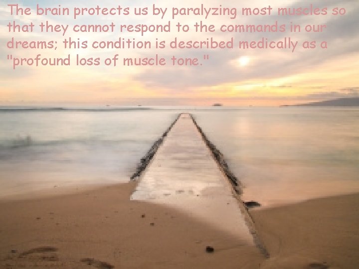 The brain protects us by paralyzing most muscles so that they cannot respond to