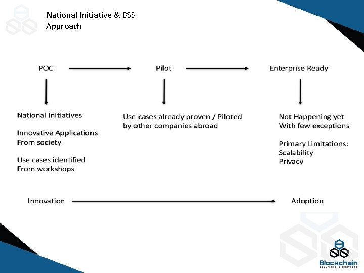 National Initiative & BSS Approach 