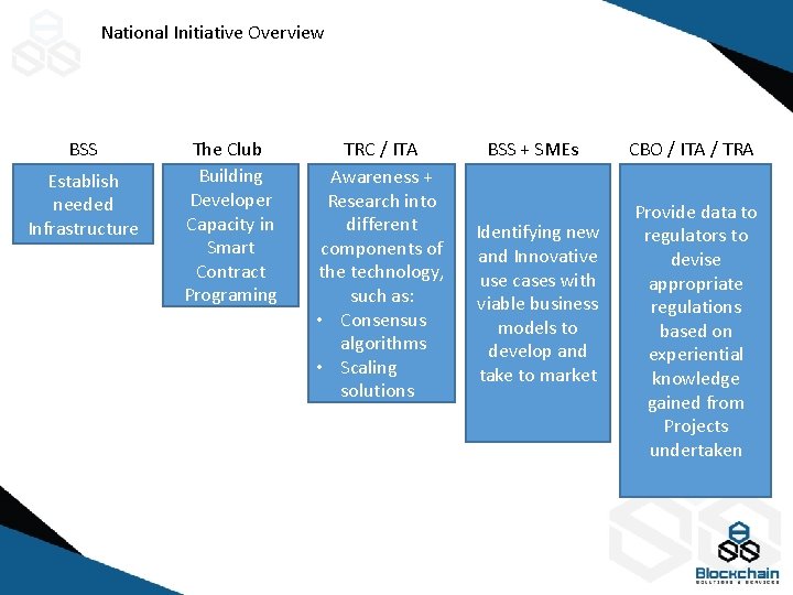 National Initiative Overview BSS Establish needed Infrastructure The Club Building Developer Capacity in Smart