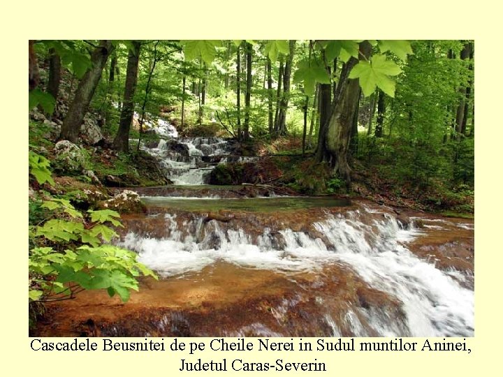Cascadele Beusnitei de pe Cheile Nerei in Sudul muntilor Aninei, Judetul Caras-Severin 