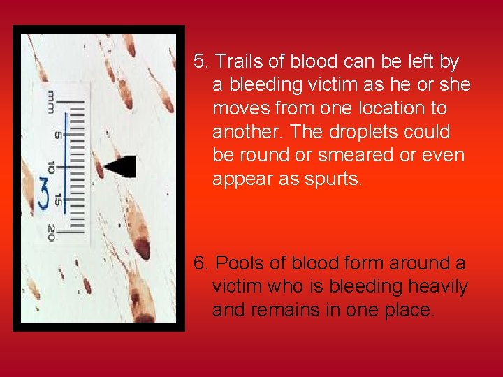 5. Trails of blood can be left by a bleeding victim as he or