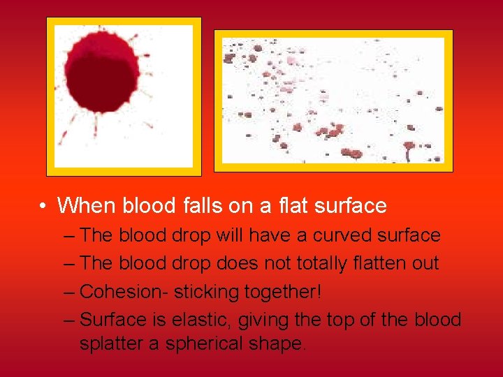  • When blood falls on a flat surface – The blood drop will