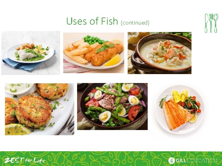 Uses of Fish (continued) 