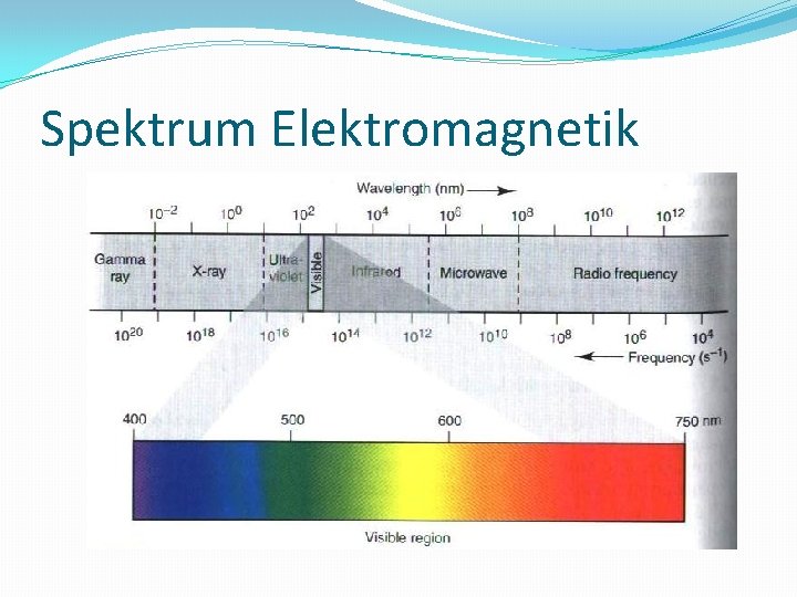 Spektrum Elektromagnetik 