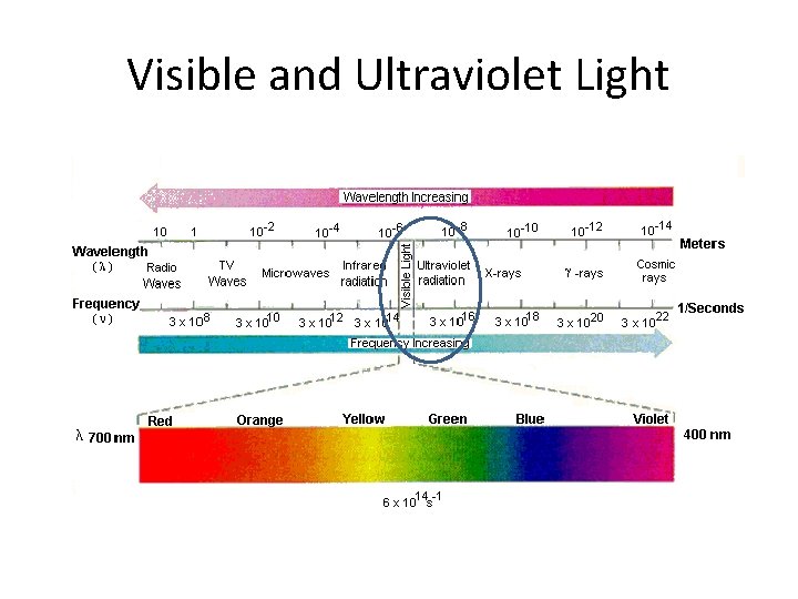 Visible and Ultraviolet Light 