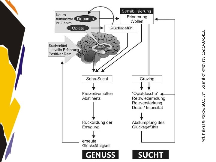 www. seminare-ps. net Vgl. Kalivas & Volkow 2005, Am. Journal of Psychiatry 162: 1403