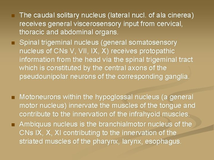 n n The caudal solitary nucleus (lateral nucl. of ala cinerea) receives general viscerosensory