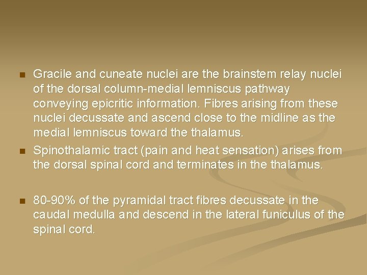 n n n Gracile and cuneate nuclei are the brainstem relay nuclei of the