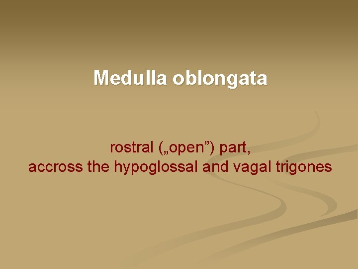 Medulla oblongata rostral („open”) part, accross the hypoglossal and vagal trigones 