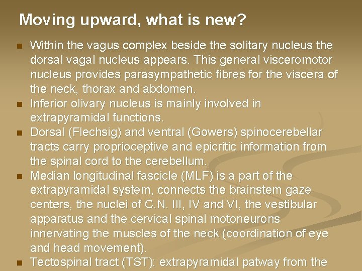 Moving upward, what is new? n n n Within the vagus complex beside the