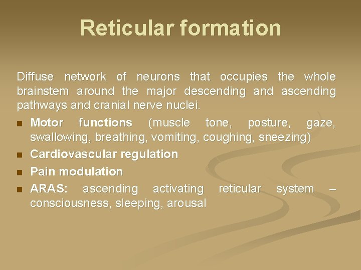 Reticular formation Diffuse network of neurons that occupies the whole brainstem around the major