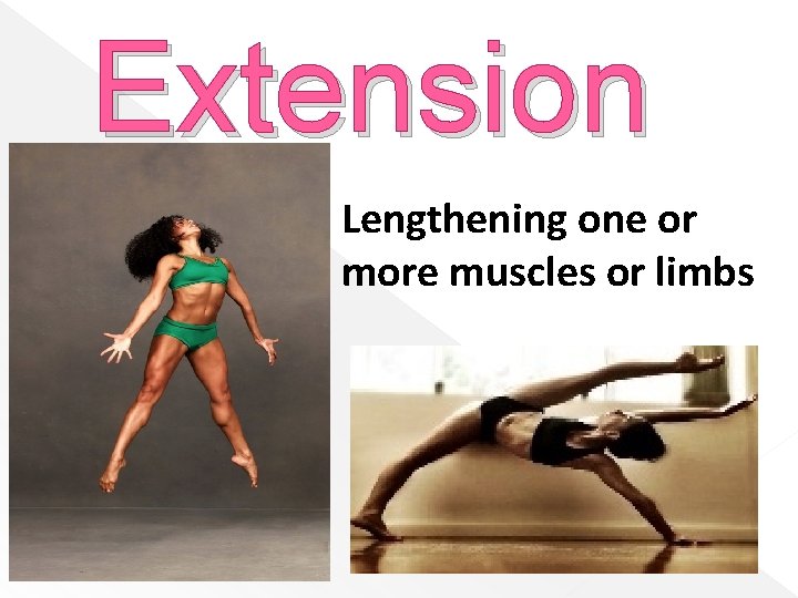 Extension Lengthening one or more muscles or limbs 