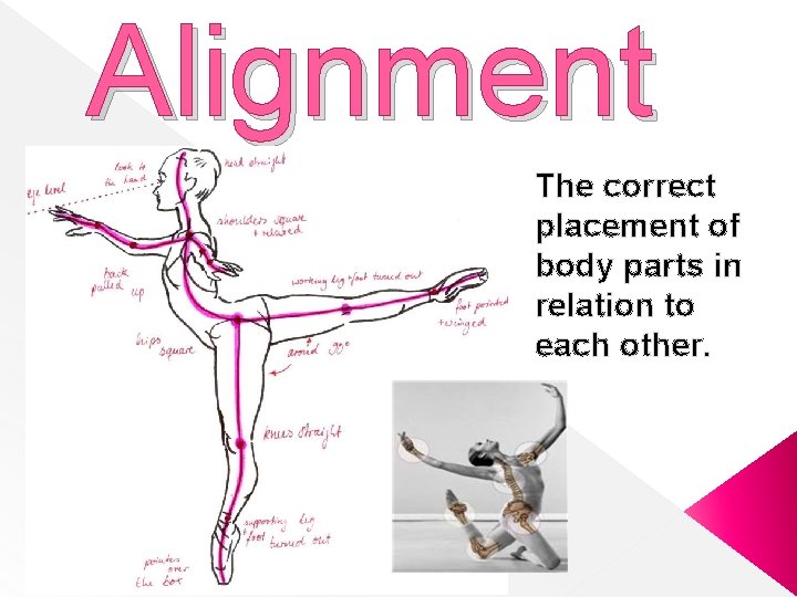 Alignment The correct placement of body parts in relation to each other. 