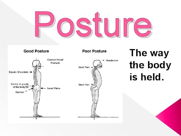 Posture The way the body is held. 