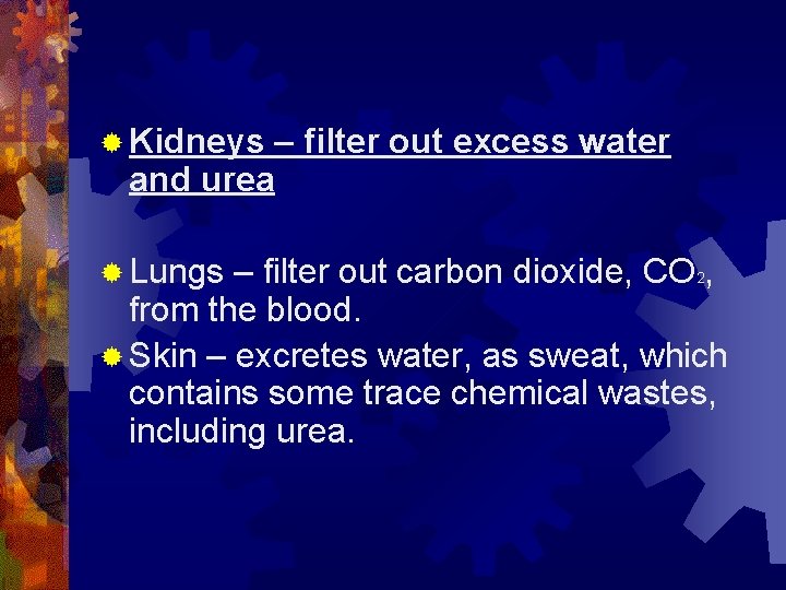 ® Kidneys and urea ® Lungs – filter out excess water – filter out ® Kidneys and urea ® Lungs – filter out excess water – filter out
