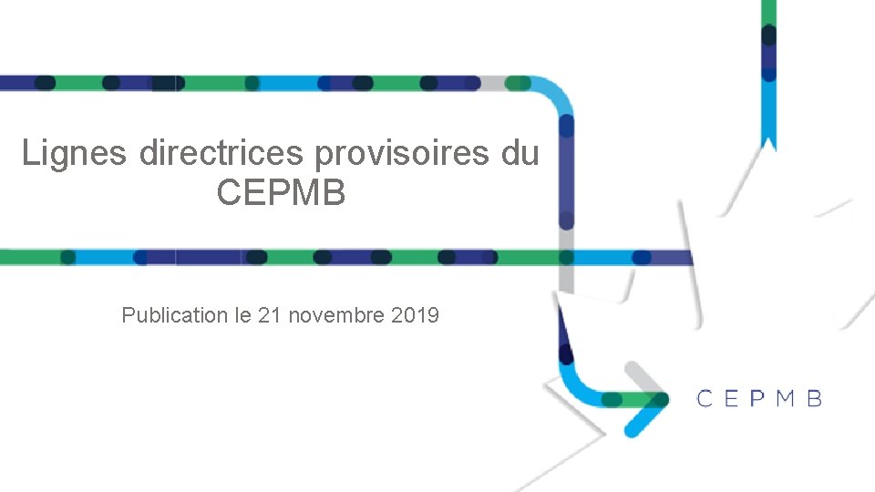 Lignes directrices provisoires du CEPMB Publication le 21 novembre 2019 