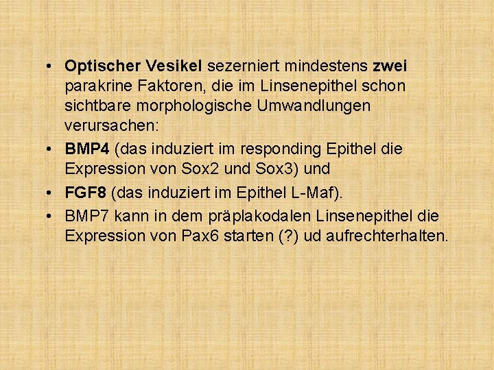  • Optischer Vesikel sezerniert mindestens zwei parakrine Faktoren, die im Linsenepithel schon sichtbare