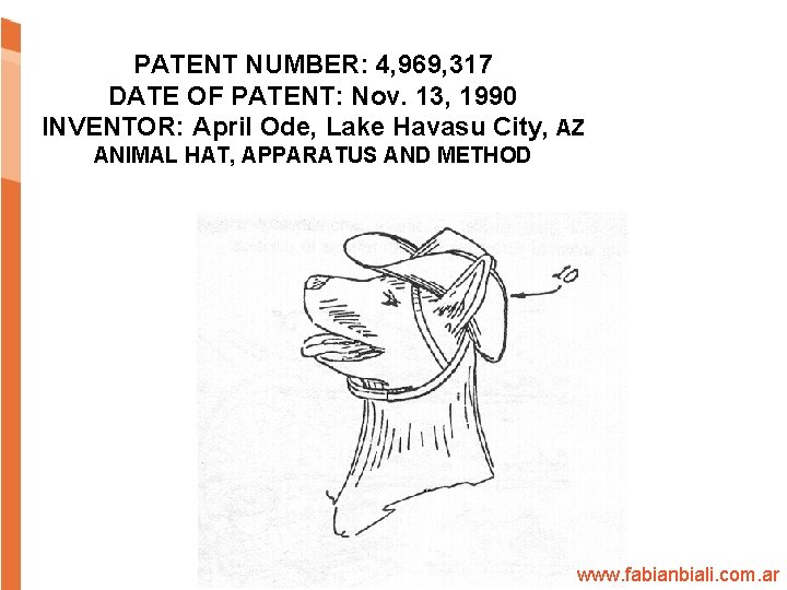 ANIMAL HAT APPARATUS AND METHOD PATENT NUMBER: 4, 969, 317 DATE OF PATENT: Nov.