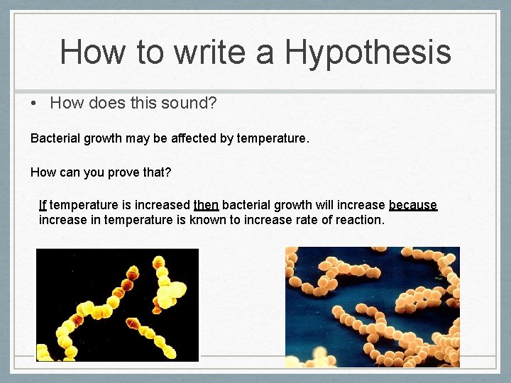 How to write a Hypothesis • How does this sound? Bacterial growth may be