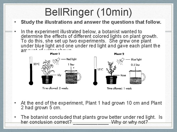 Bell. Ringer (10 min) • Study the illustrations and answer the questions that follow.