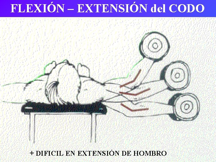 FLEXIÓN – EXTENSIÓN del CODO + DIFICIL EN EXTENSIÓN DE HOMBRO 