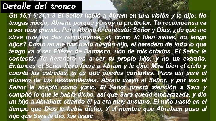 Detalle del tronco Gn 15, 1 -6; 21, 1 -3 El Señor habló a