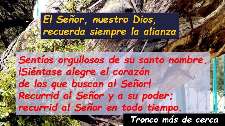 El Señor, nuestro Dios, recuerda siempre la alianza Sentíos orgullosos de su santo nombre.