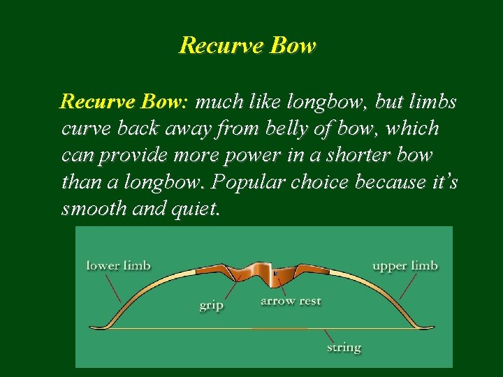 Recurve Bow: much like longbow, but limbs curve back away from belly of bow,